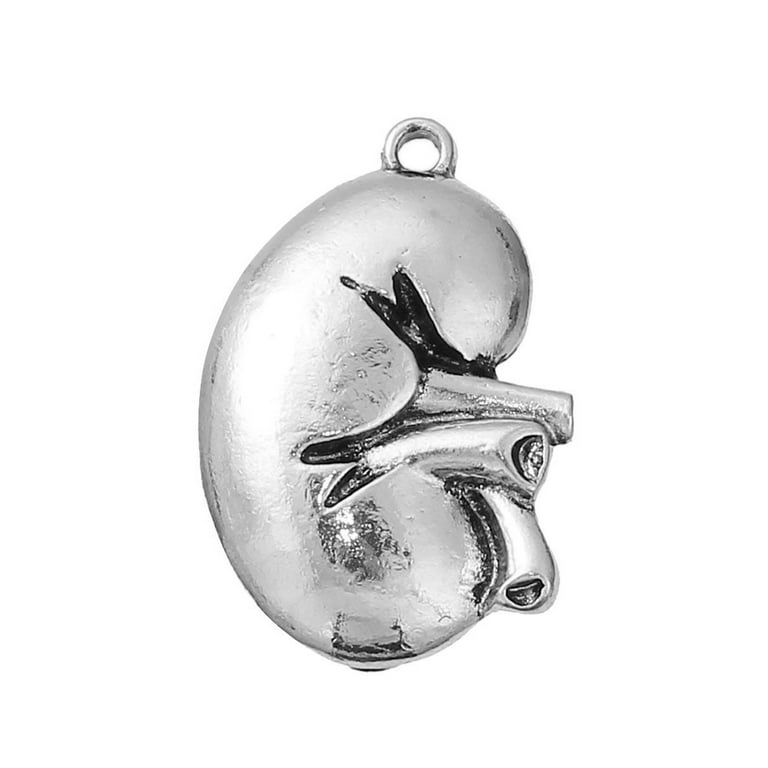 Sexy Sparkles Antique Silver Tone Medical Anatomical 3D Human Kidney Charm Pendant for Necklace Bracelets or Keychains Zinc Based Alloy