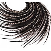 Sexy Sparkles Real Feather Hair Extension Genuine Beautiful Black with Beige Feathers for Hair Extension - 5 Feathers, 4-6