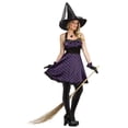 thumbnail image 1 of Sexy Whimsical Witch Costume, 1 of 2