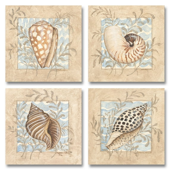 Seychelles Island; Lovely Tan and Blue Seashell Set; Four 12X12 Poster Prints