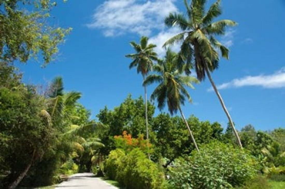 Seychelles La Digue Remote island path Canvas Art - Cindy Miller Hopkins DanitaDelimont (34 x 23)