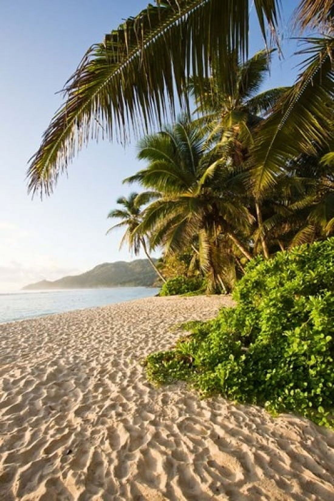 Seychelles Mahe Island Anse Marie-Louise dawn Canvas Art - Walter Bibikow DanitaDelimont (18 x 24)