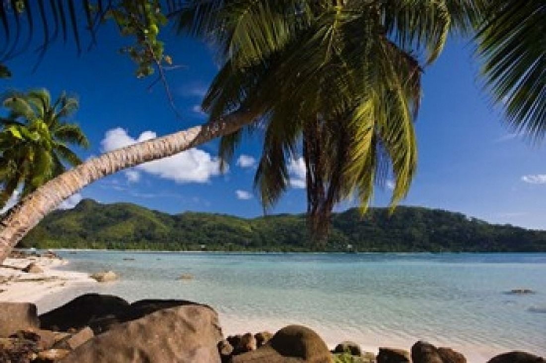 Seychelles Mahe Island Anse a la Mouche Canvas Art - Walter Bibikow DanitaDelimont (19 x 12)