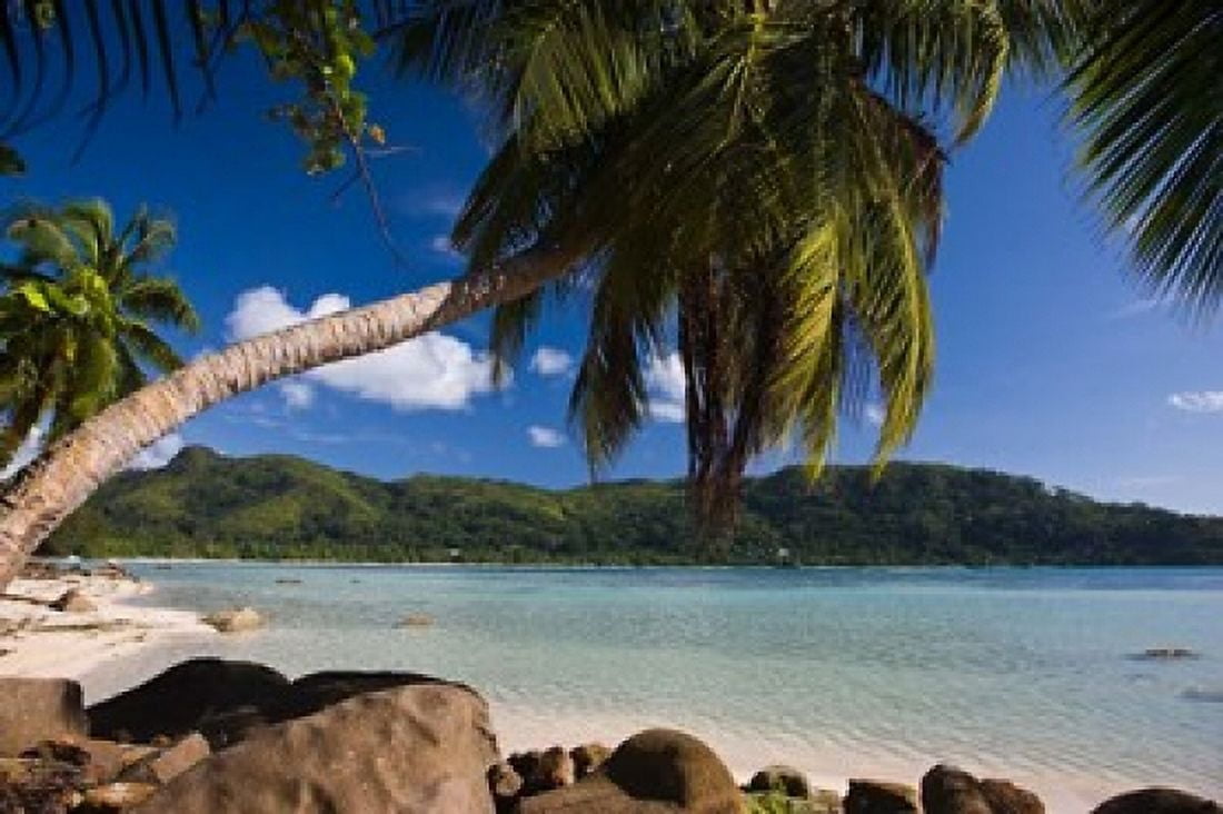 Seychelles Mahe Island Anse a la Mouche Canvas Art - Walter Bibikow DanitaDelimont (38 x 25)