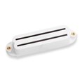 thumbnail image 1 of Seymour Duncan Adult Single-Coil Sized Humbucker Pickup, White, 1 of 2