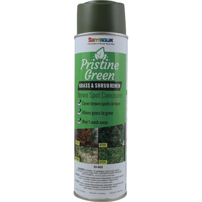 Seymour of Sycamore 20 oz Pristine Green Grass & Shrub Renew Pack of 12