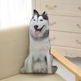 thumbnail image 1 of Seyotauo Dog Pillow 3D Simulation Dog Shaped Pillow, Funny Plush Pillow Dog Stuffed Animal Pillow Chair Cushion for Home Decor, 1 of 2