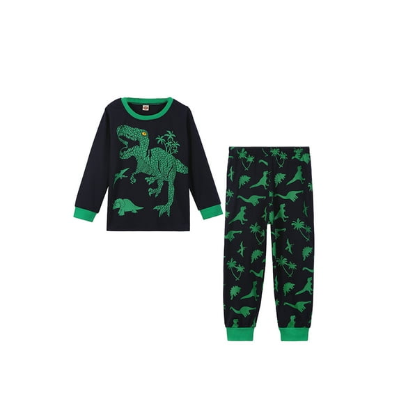 Seyurigaoka 2Pcs Kids Toddler Boys Fall Pants Set Long Sleeve Dinosaur T-Shirt Outfits Set