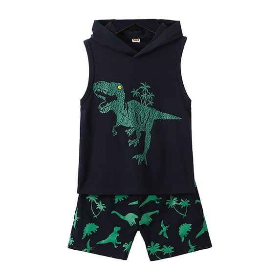 Seyurigaoka Little Boy’s Summer Fashion Suits, Dinosaur Print Hooded Sleeveless Tops + Short Pants