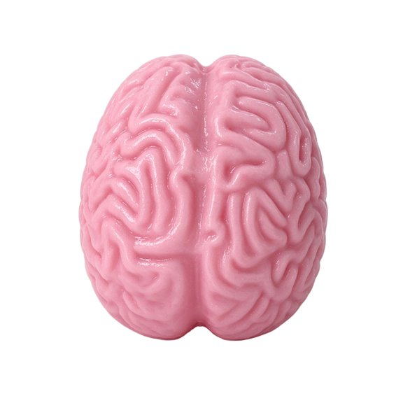 Sfaro Crunchy Brain Squishy Toy With Bead Filling, Pink