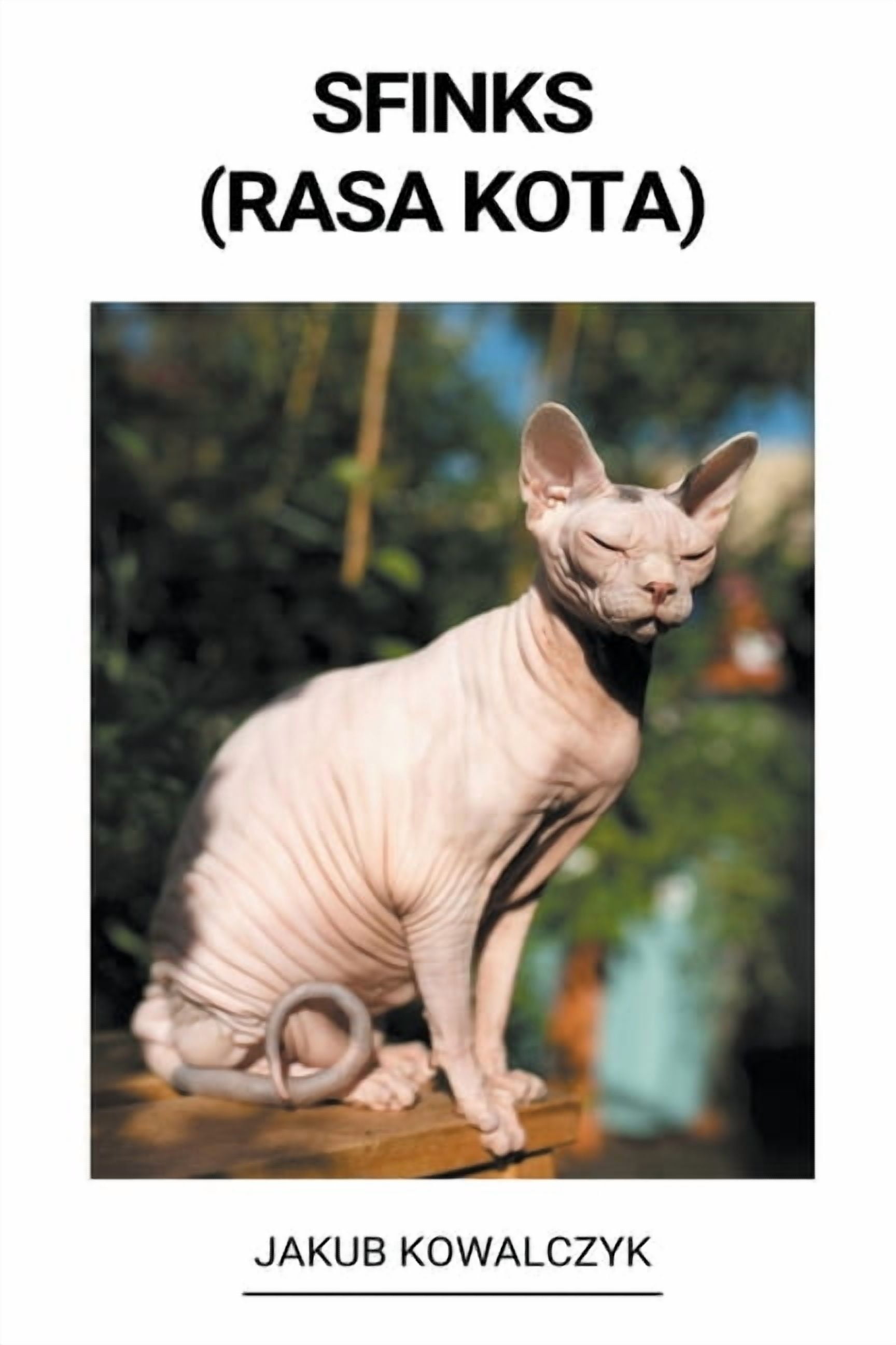 Sfinks (Rasa Kota), (Paperback)