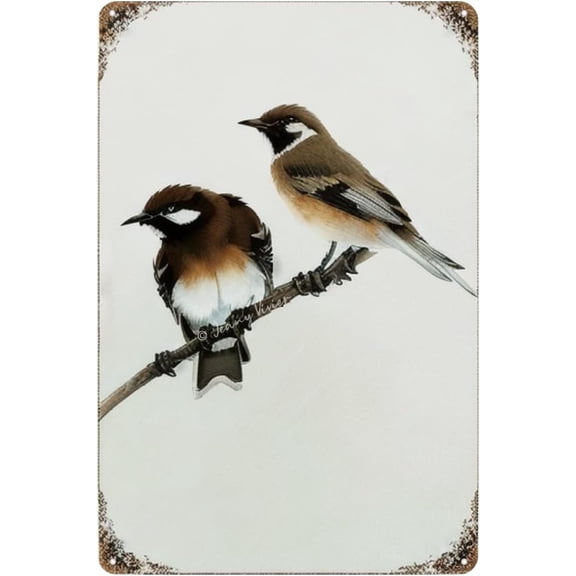Shabby Chic Bird Sign, Bird Tin Sign, You & Me Sparrow Bird Metal Sign Brown Sparrow Natural Home Decor Two Sparrows Art Decor Rustic Farmhouse Decor Gift for Valentin's Day 12x8 In
