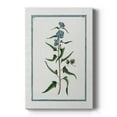 thumbnail image 1 of Shabby Chic Botanical I Premium Gallery Wrapped Canvas - Ready to Hang, 1 of 9