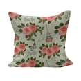 thumbnail image 1 of Shabby Flora Fluffy Throw Pillow Cushion Cover, Paris Lettering with Roses and Leaves Abstract Pale Blue Grey Backdrop, Decorative Square Accent Pillow Case, 36" x 36", Salmon and Green, by Ambesonne, 1 of 5