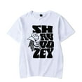 thumbnail image 1 of Shaboozey Merch Name Lyrics T-shirt t shirt Men Women Short Sleeve Country Music Tee Crewneck Streetwear Top, 1 of 2