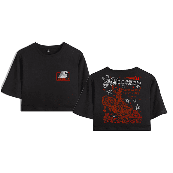 Shaboozey Merch Sketch Crop Top Midriff-Baring Tshirt Women Girl Short Sleeve