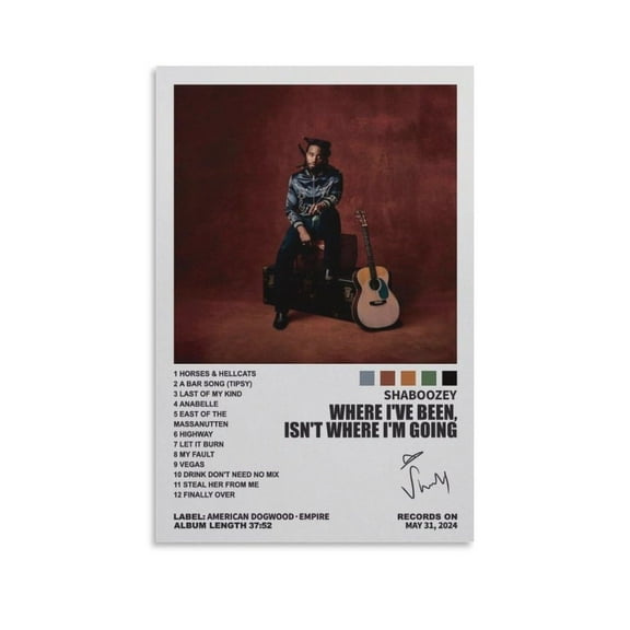 Shaboozey Where I've Been, Isn't Where I'm Going 1 Canvas Poster Wall Decorative Art Painting Living Room Bedroom Decoration Gift