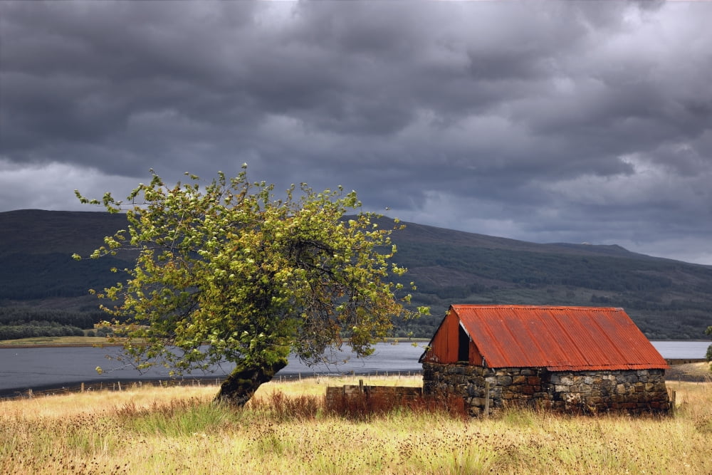 Shack In A Field Strontian Highland Scotland Canvas Art - John Short Design Pics (19 x 12)