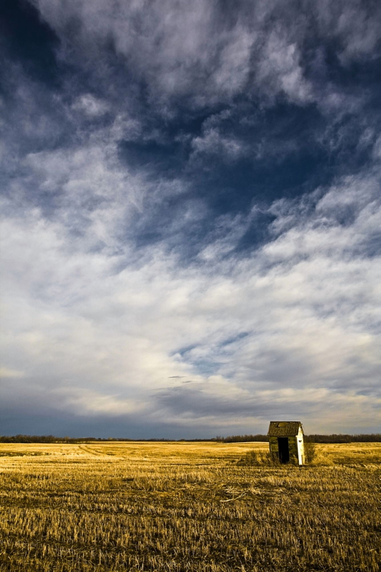 Shack In Field Canvas Art - Steve Nagy Design Pics (24 x 38)