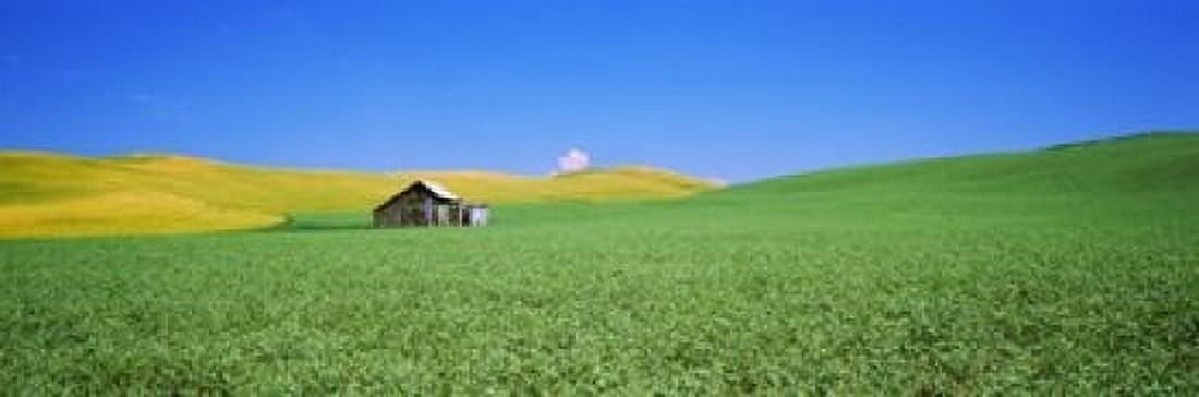 Shack in a field Palouse County Washington State USA Canvas Art - Panoramic Images (36 x 12)