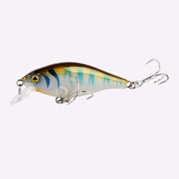 Shad Crankbait Slow Sinking
