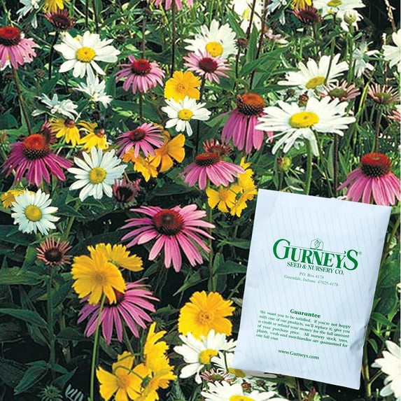 Shade Tolerant Wildflower Mixture Flowering Seeds, 0.50 oz seeds per pack