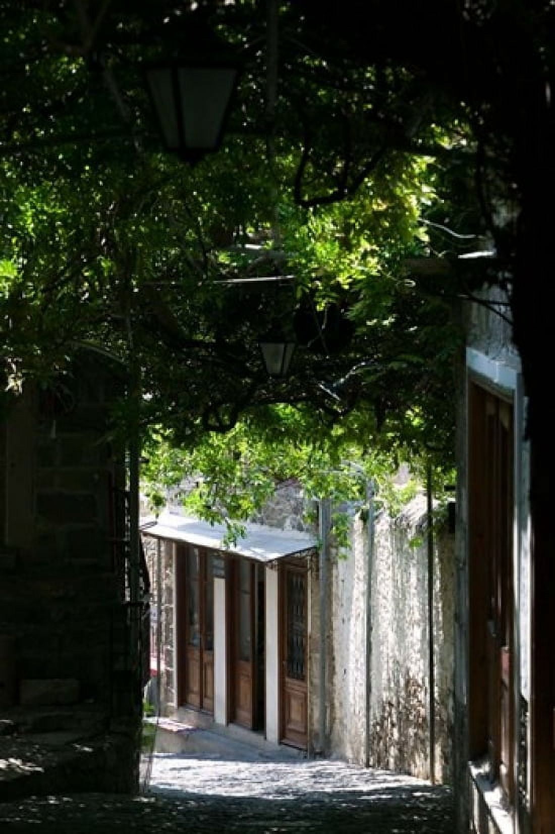 Shaded Shopping Street Lesvos Mithymna Northeastern Aegean Islands Greece Canvas Art - Walter Bibikow DanitaDelimont (24 x 36)