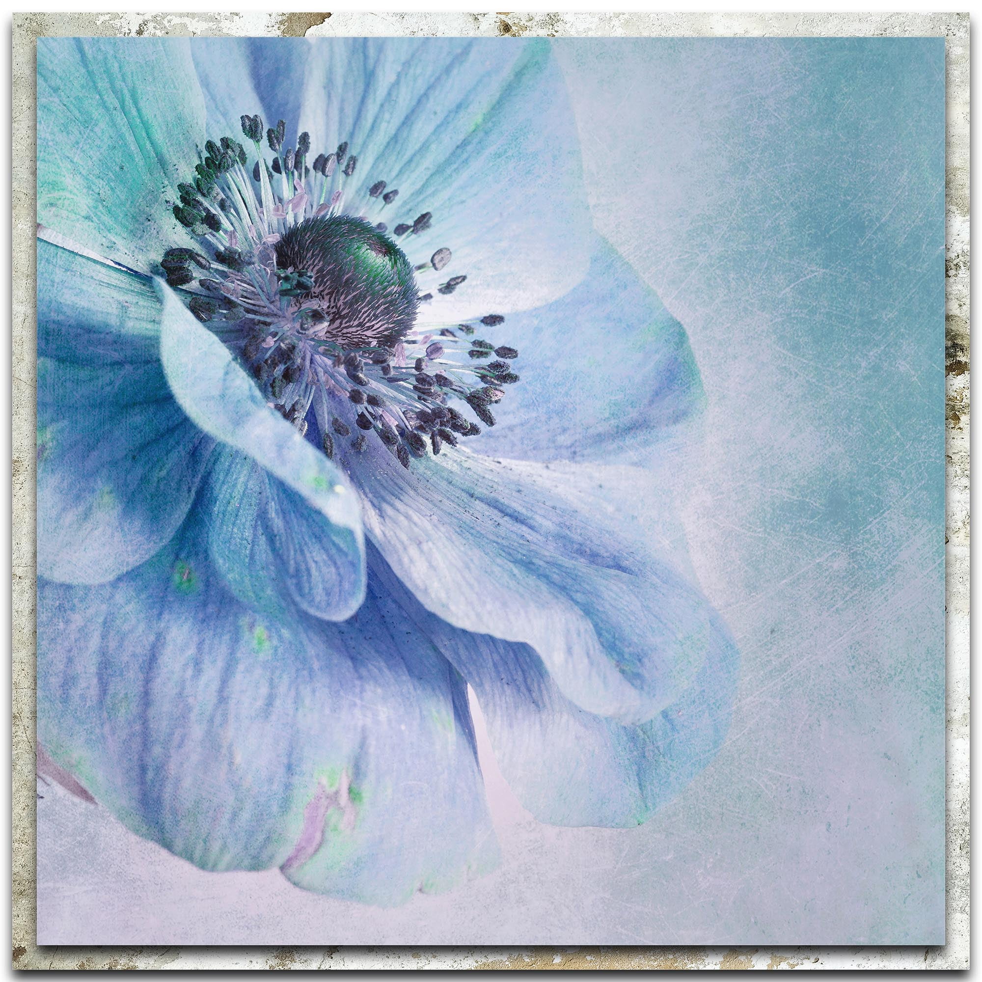 Shades of Blue Distressed Frame
