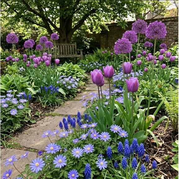 Shades of Blue Flowers Collection, 40 Bulbs - 4 Varieties of Blue & Purple Flowers