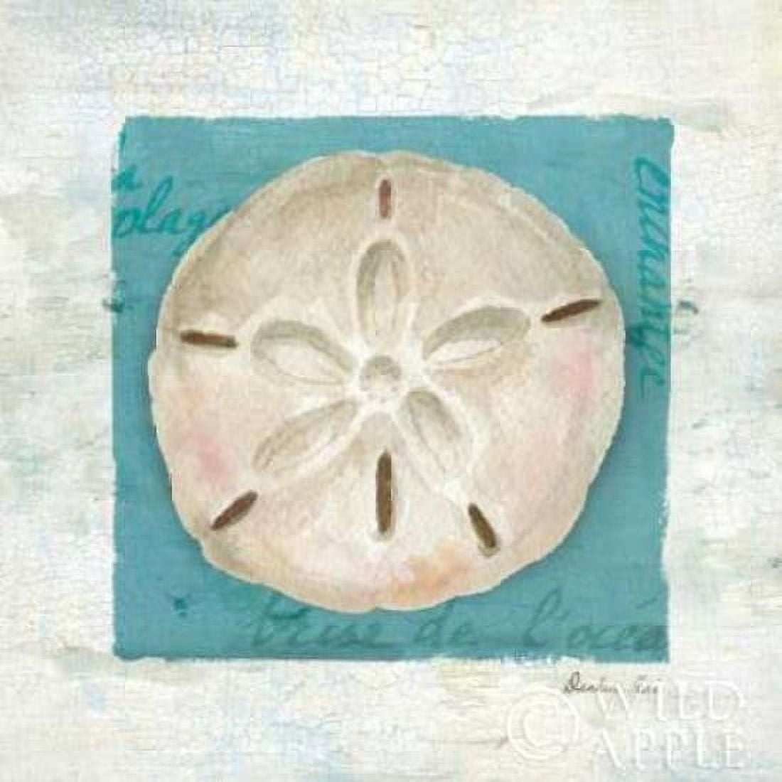 Shades of Blue III Canvas Art - Danhui Nai (24 x 24)