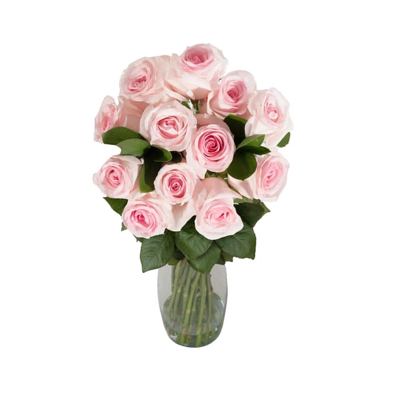 Bloomingmore - Farm Direct Fresh Cut Flowers - Shades of Pink Rose Bouquet - 1 Pack