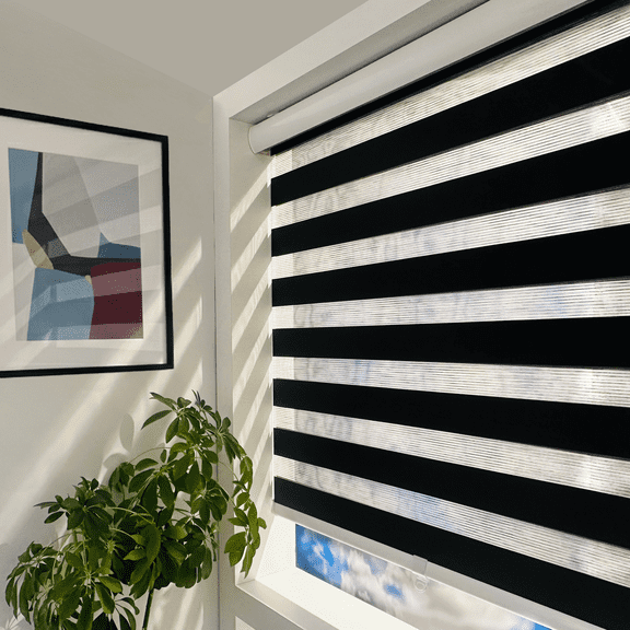 Shadesu Cordless Zebra Blinds For Windows, Black