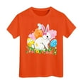 thumbnail image 1 of Shadoumai Easter Egg Bunny Graphic Tee For Toddler Kids Holiday Celebration Shirt, 1 of 3