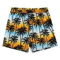 thumbnail image 1 of Shadoumai Little Boys Swim Trunks Set Cute Print High Stretch Beach Shorts Casual Beach Swimwear Swimming Trunks Clothes Little Boys Bathing Suit Swimsuit, 1 of 6