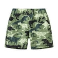 thumbnail image 1 of Shadoumai Swimming Trunks for Boys 4t Cute Print Drawstring Sport Short Swimsuit Stretch Little Boys Bathing Suit Swimsuit Toddler Boy Swimwear 1 Piece Zipper Bathing Suit, 1 of 5
