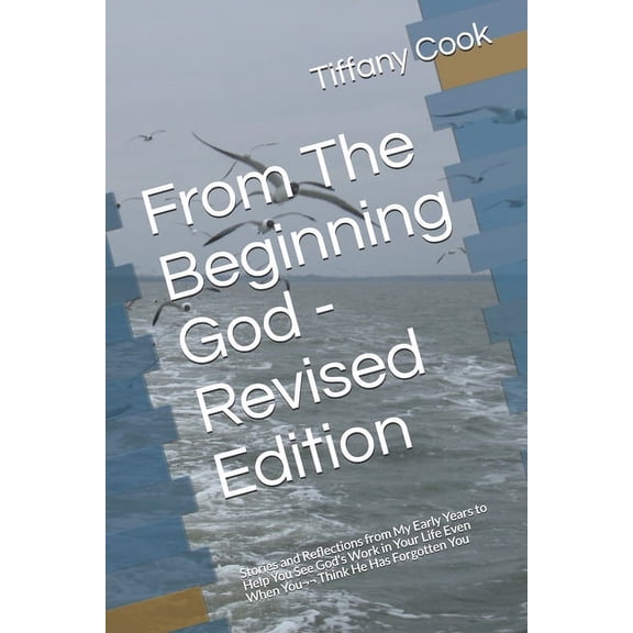 In the Shadow of the Almighty From The Beginning God - Revised Edition: Stories and Reflections from My Early Years to Help You See God's Work in Your, Book 1, (Paperback)