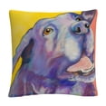 thumbnail image 1 of Shadow' Animals Pets Painting Bold By Pat Saunders-White 16 X 16 Decorative Throw Pillow, 1 of 4