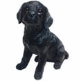 thumbnail image 1 of Shadow Black Labrador Puppy, Large, 1 of 1