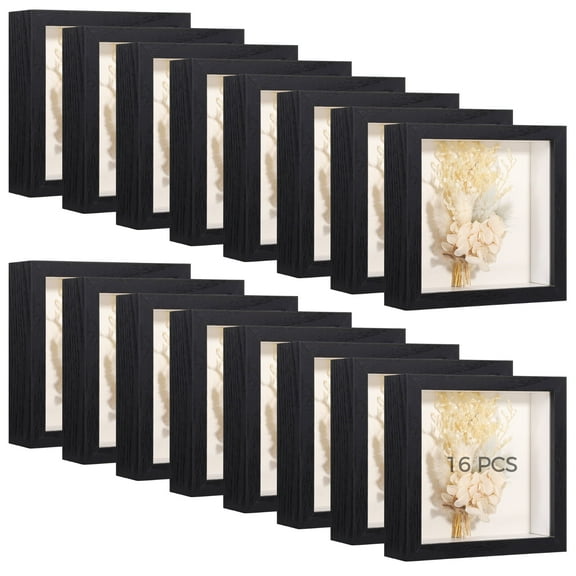 16 PCS Hollow Shadow Box, Specimen Display Box for Dried Flower, Butterfly Insect Display Case, Mementos Display Picture Frame for DIY Crafts