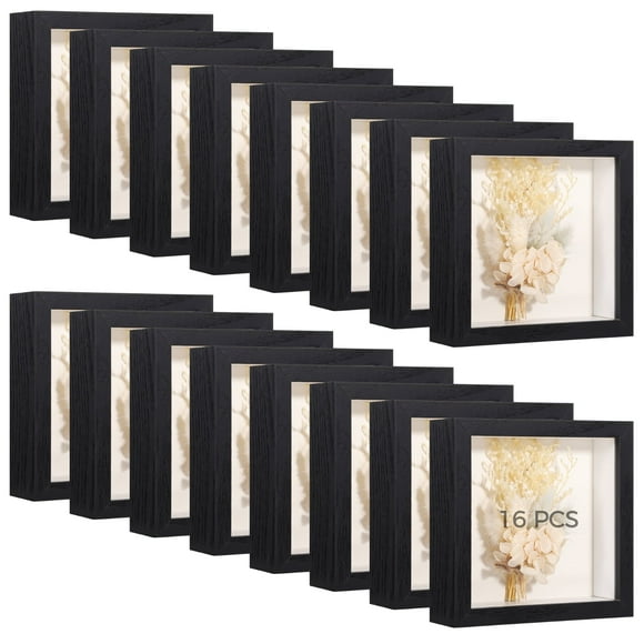 16 PCS Hollow Shadow Box, Specimen Display Box for Dried Flower, Butterfly Insect Display Case, Mementos Display Picture Frame for DIY Crafts