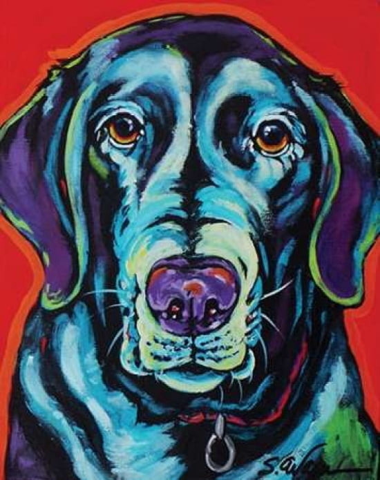 Shadow Canvas Art - Sally Evans (22 x 28)