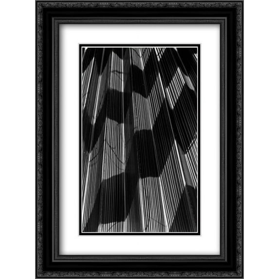Shadow I 2x Matted 18x24 Black Ornate Framed Art Print by Peterson, Lee