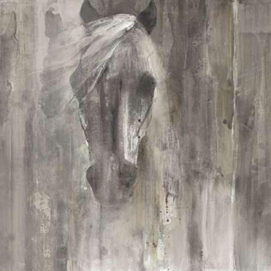 Shadow Light Canvas Art - Albena Hristova (24 x 24)