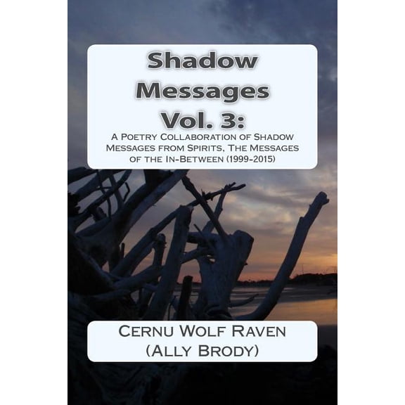 Shadow Messages: Shadow Messages Vol. 3: : A Poetry Collaboration of Shadow Messages from Spirits, The Messages of the In-Between (1999-2015) (Paperback)