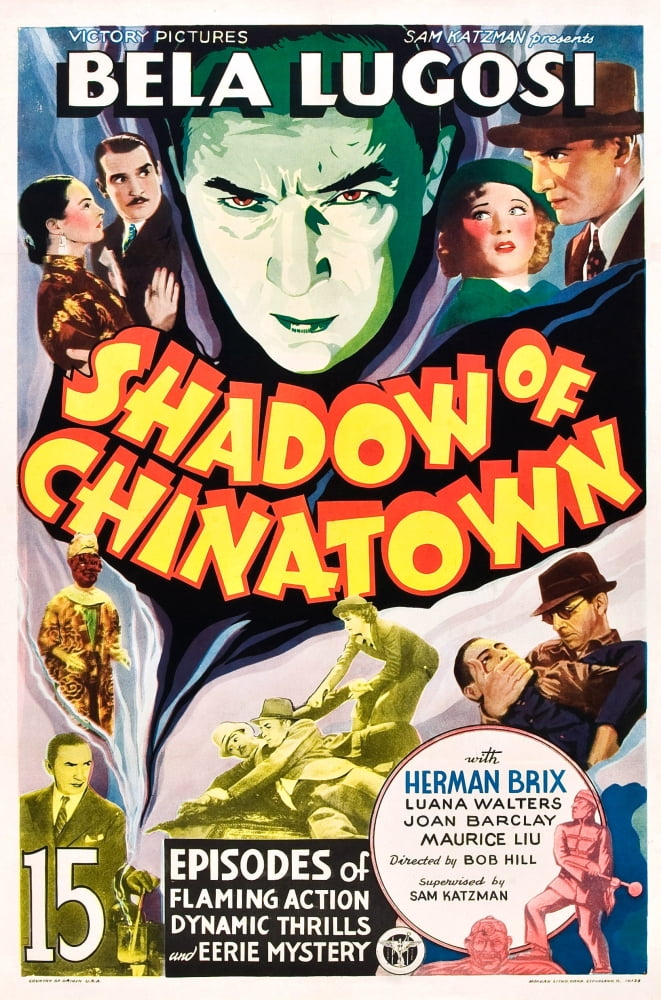 Shadow Of Chinatown Canvas Art - (11 x 17)