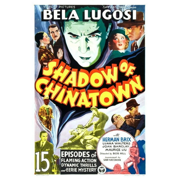 Shadow Of Chinatown Movie Poster Reprint 27inx40in for any room 27x40 Square Adults Poster Time