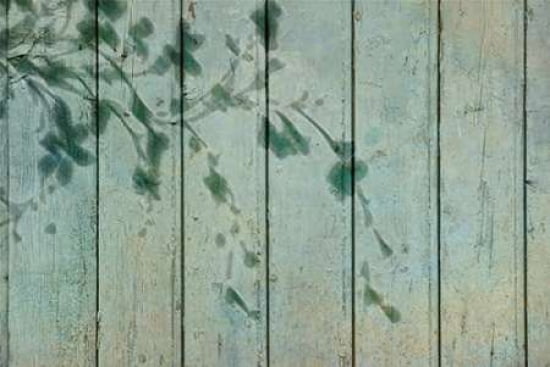Shadow Play Canvas Art - Cora Niele (12 x 18)