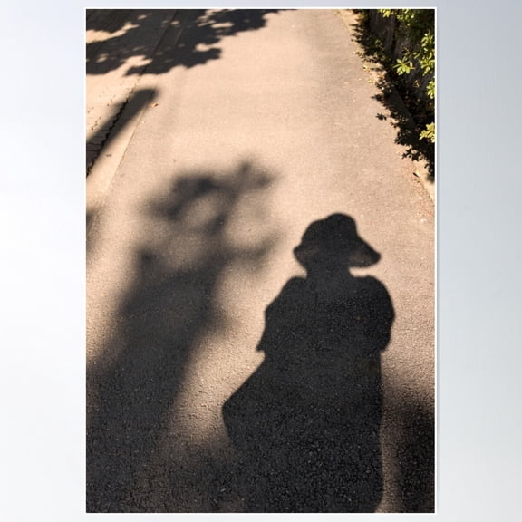 Shadow Poster Wall Art, Modern Wall Decor For Living Room Bedroom, 8x12 UNFRAMED