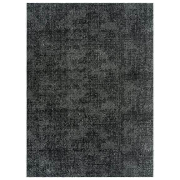 Shadow Thandi Transitional Geometric Charcoal Area Rug, 4x6