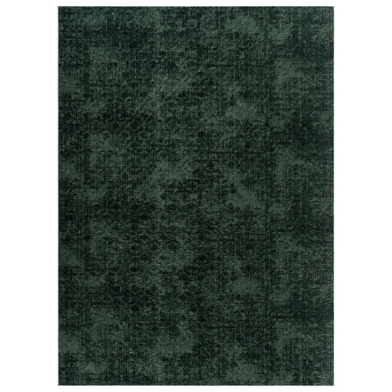 Shadow Thandi Transitional Geometric Dark Green Area Rug, 5x7